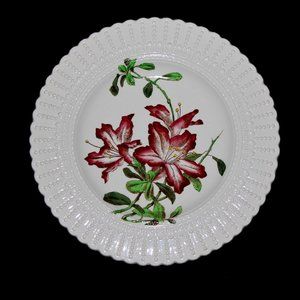 Flower Series Plate By Royal Cauldon